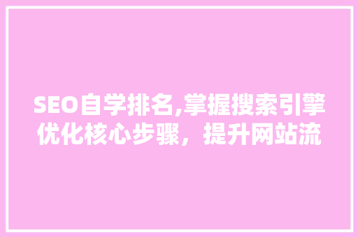 SEO自学排名,掌握搜索引擎优化核心步骤，提升网站流量与排名