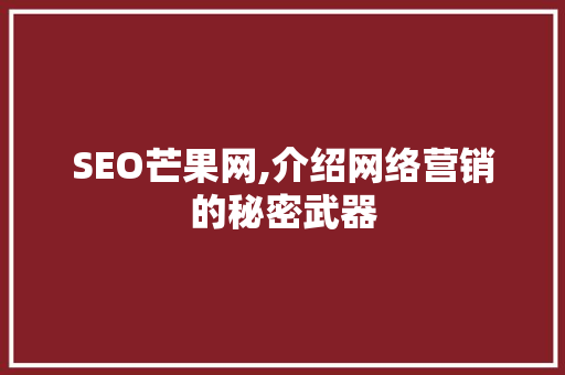 SEO芒果网,介绍网络营销的秘密武器