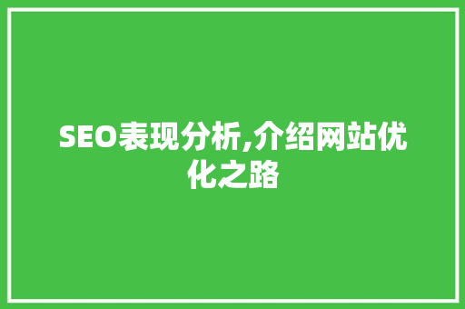 SEO表现分析,介绍网站优化之路