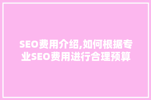 SEO费用介绍,如何根据专业SEO费用进行合理预算  第1张