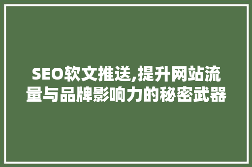 SEO软文推送,提升网站流量与品牌影响力的秘密武器