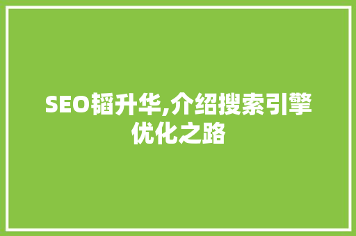 SEO韬升华,介绍搜索引擎优化之路