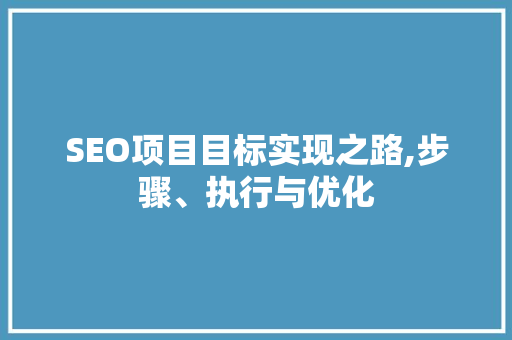 SEO项目目标实现之路,步骤、执行与优化