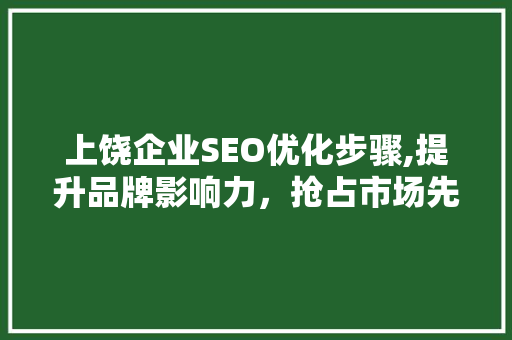 上饶企业SEO优化步骤,提升品牌影响力，抢占市场先机