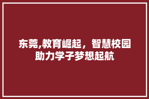 东莞,教育崛起，智慧校园助力学子梦想起航