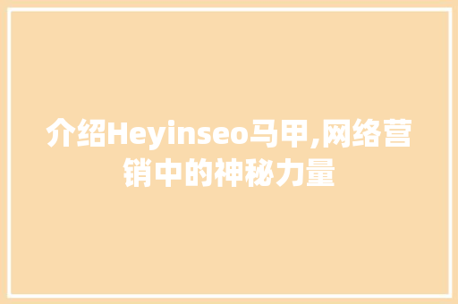 介绍Heyinseo马甲,网络营销中的神秘力量