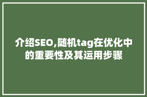 介绍SEO,随机tag在优化中的重要性及其运用步骤