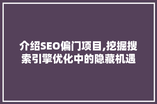 介绍SEO偏门项目,挖掘搜索引擎优化中的隐藏机遇