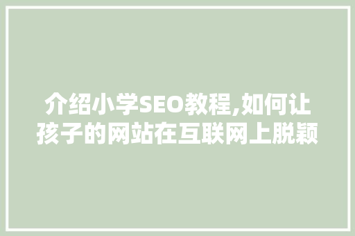 介绍小学SEO教程,如何让孩子的网站在互联网上脱颖而出  第1张