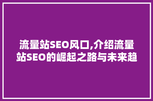流量站SEO风口,介绍流量站SEO的崛起之路与未来趋势