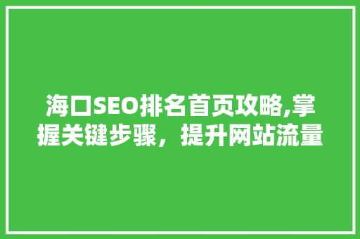 海口SEO排名首页攻略,掌握关键步骤，提升网站流量与品牌影响力