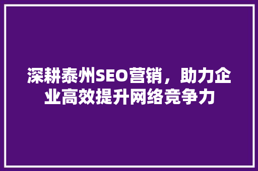 深耕泰州SEO营销，助力企业高效提升网络竞争力