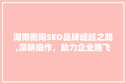 湖南衡阳SEO品牌崛起之路,深耕细作，助力企业腾飞