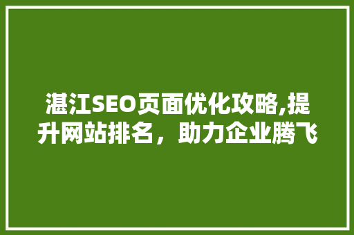 湛江SEO页面优化攻略,提升网站排名，助力企业腾飞