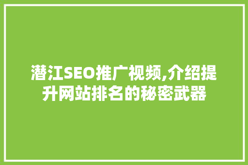 潜江SEO推广视频,介绍提升网站排名的秘密武器