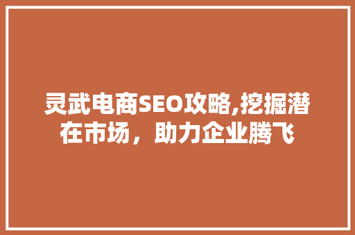灵武电商SEO攻略,挖掘潜在市场，助力企业腾飞