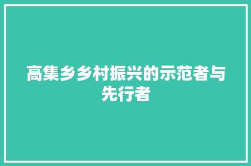 高集乡乡村振兴的示范者与先行者