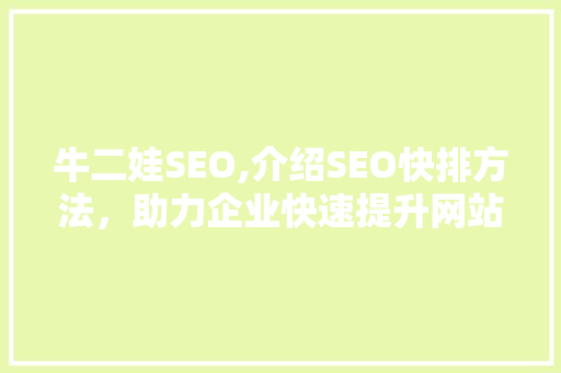 牛二娃SEO,介绍SEO快排方法，助力企业快速提升网站排名