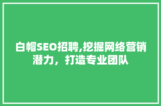 白帽SEO招聘,挖掘网络营销潜力，打造专业团队