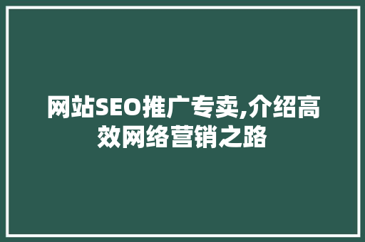 网站SEO推广专卖,介绍高效网络营销之路
