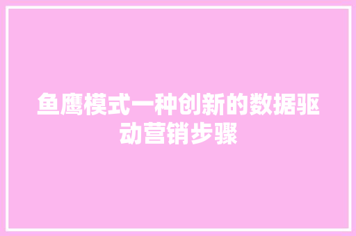 鱼鹰模式一种创新的数据驱动营销步骤