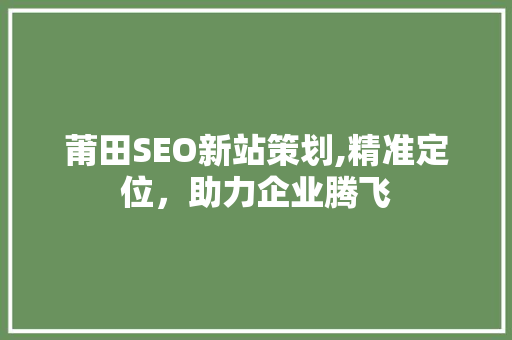莆田SEO新站策划,精准定位，助力企业腾飞