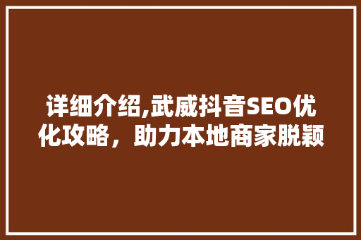 详细介绍,武威抖音SEO优化攻略，助力本地商家脱颖而出