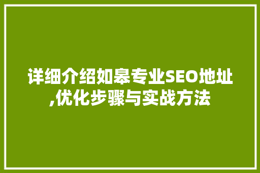 详细介绍如皋专业SEO地址,优化步骤与实战方法