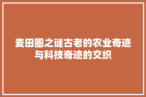 麦田圈之谜古老的农业奇迹与科技奇迹的交织