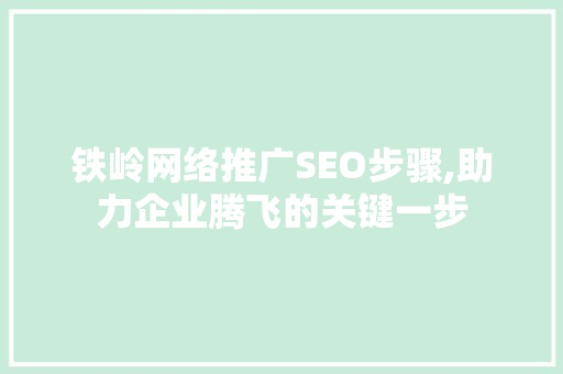 铁岭网络推广SEO步骤,助力企业腾飞的关键一步