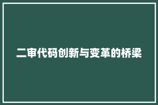 二审代码创新与变革的桥梁