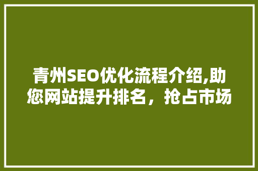 青州SEO优化流程介绍,助您网站提升排名，抢占市场先机