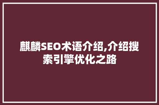 麒麟SEO术语介绍,介绍搜索引擎优化之路