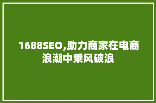 1688SEO,助力商家在电商浪潮中乘风破浪  第1张