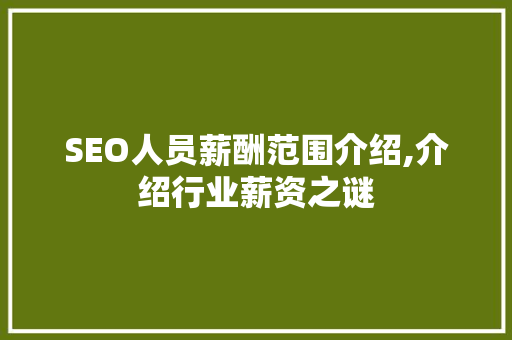 SEO人员薪酬范围介绍,介绍行业薪资之谜