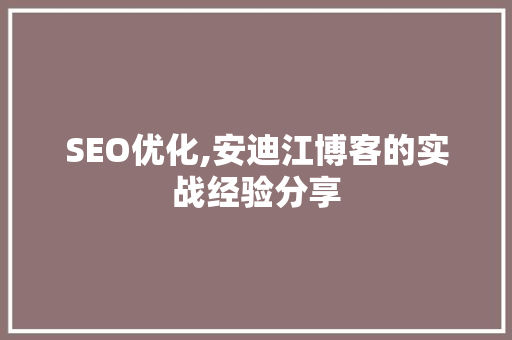 SEO优化,安迪江博客的实战经验分享
