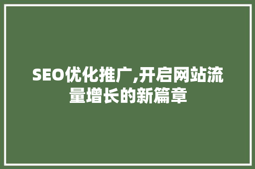 SEO优化推广,开启网站流量增长的新篇章