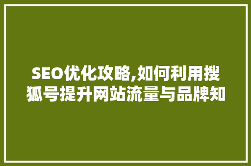 SEO优化攻略,如何利用搜狐号提升网站流量与品牌知名度