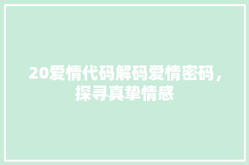 20爱情代码解码爱情密码，探寻真挚情感