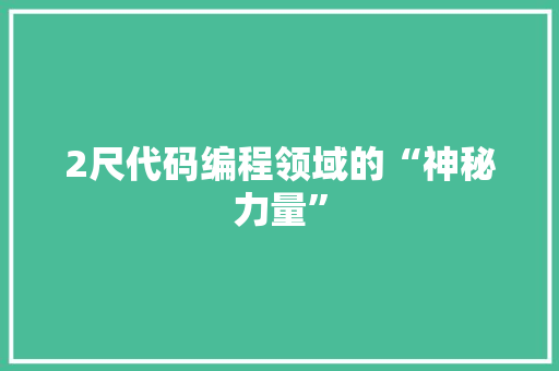 2尺代码编程领域的“神秘力量”
