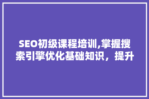 SEO初级课程培训,掌握搜索引擎优化基础知识，提升网站排名