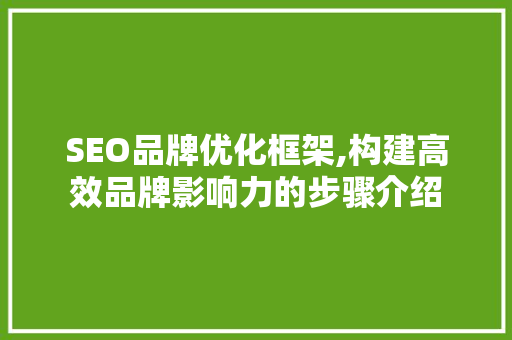 SEO品牌优化框架,构建高效品牌影响力的步骤介绍