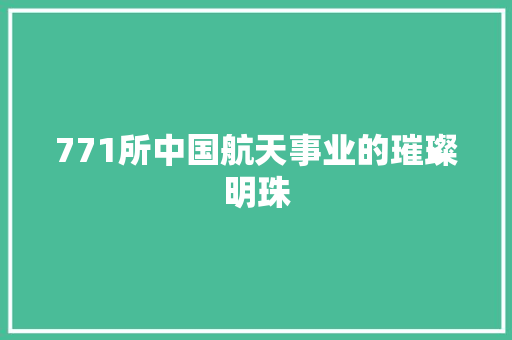 771所中国航天事业的璀璨明珠