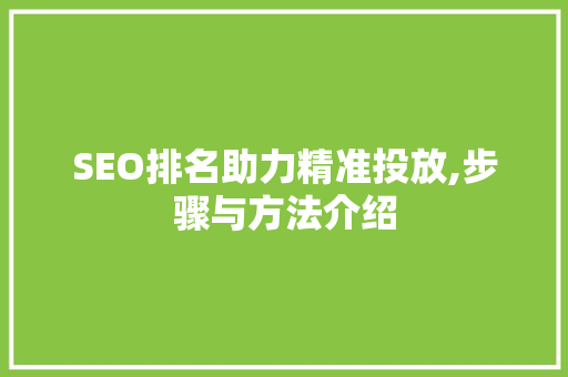 SEO排名助力精准投放,步骤与方法介绍