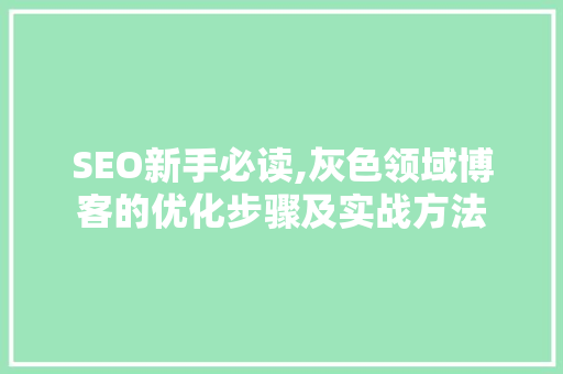 SEO新手必读,灰色领域博客的优化步骤及实战方法