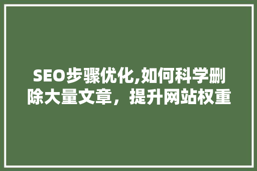 SEO步骤优化,如何科学删除大量文章，提升网站权重与用户体验