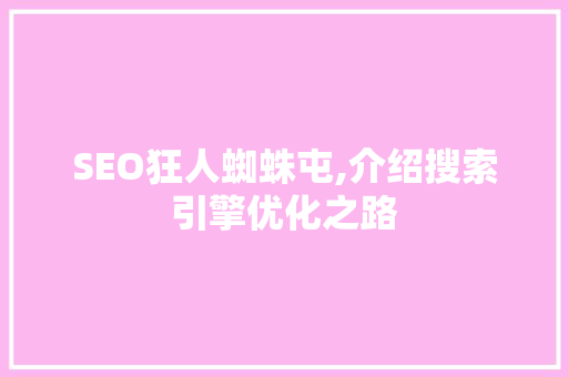 SEO狂人蜘蛛屯,介绍搜索引擎优化之路