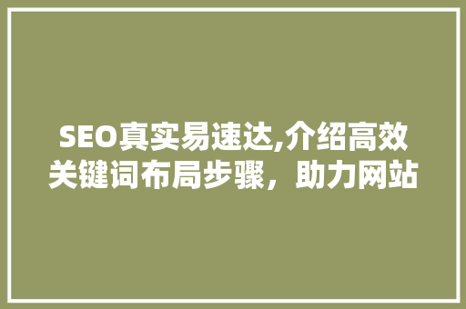 SEO真实易速达,介绍高效关键词布局步骤，助力网站排名提升