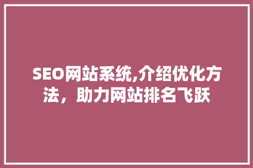 SEO网站系统,介绍优化方法，助力网站排名飞跃