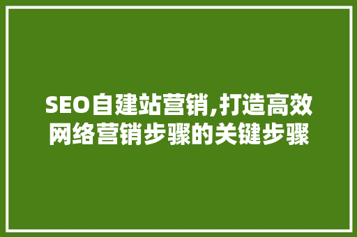 SEO自建站营销,打造高效网络营销步骤的关键步骤